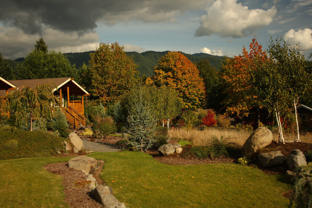 Carson Ridge Luxury Cabins Eksteriør billede